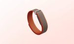 مچ بند هوشمند Fitbit مدل Google Fitbit Air - تصویر 5